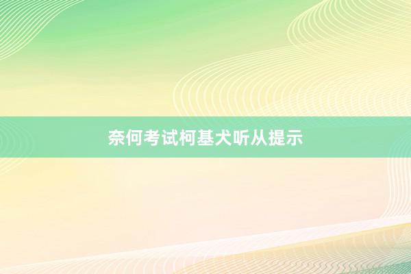 奈何考试柯基犬听从提示