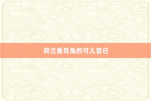 荷兰垂耳兔的可儿昔日