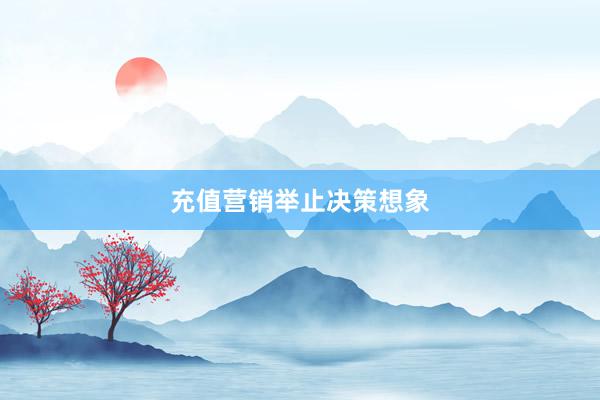 充值营销举止决策想象